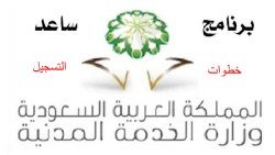 ماذا بعد التدقيق في ساعد