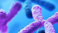 مختبرات لعمل تحليل الجينات الوراثية في السعوديه والاسعار