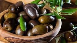 تفسير حلم الزيتون في المنام