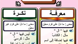 تلخيص النكرة والمعرفة بالأمثلة