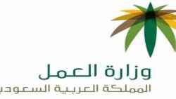 ما هي الأنظمة المعتمدة في حالة رفض العاملة المنزلية العمل