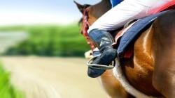 قواعد ركوب الخيل والأخطاء الشائعة في ركوب الخيل للمبتدئين