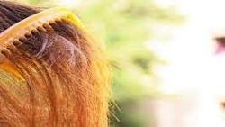 حماية الشعر من الرطوبة بعد الاستشوار