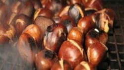 خطوات عمل أبو فروة بسهولة
