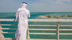 أهم المدن السعودية على البحر الأحمر